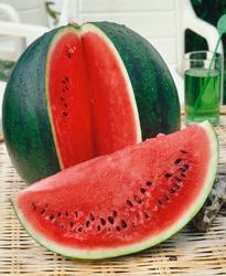 Watermelon Lajko II F1 5g