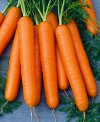 Carrot Nantes 3  5g