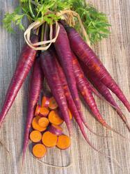 Carrot Cosmic Purple 5g