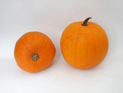 Pumpkin Jack O´ Lantern 25g