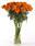 Tagetes erecta Xochi™ Orange F1 200 seeds - 1/2