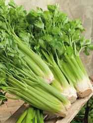 Celery Golden self Blanching 5g