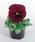 Viola x w. Inspire® červená s okem  F1 500 semen - 1/3
