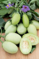 Eggplant/Aubergine Jewel Jade 100 seeds - 2