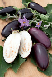 Eggplant/Aubergine Jewel Jet 100 seeds - 2
