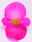 Begonia semp. Nightlife Deep Rose F1 1000 pelet - 2/2