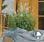 Salvia farinacea Evolution® White 1000 semen - 2/2