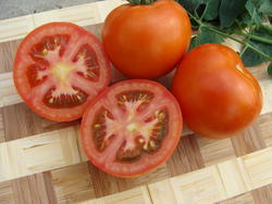 Pole tomato Palava  F1 5g - 3